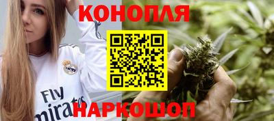 Альфа ПВП Ставрополь