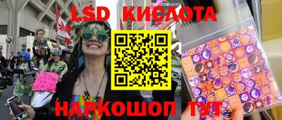 Альфа ПВП Ставрополь