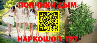 Альфа ПВП Ставрополь
