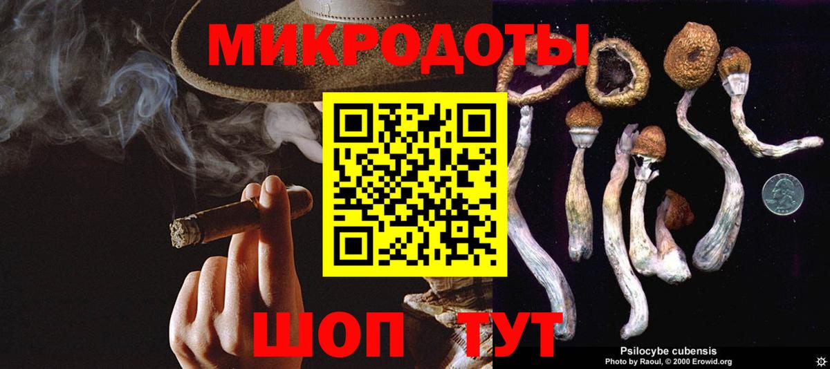 Александров  Галлюциногенные грибы Cubensis  Галлюциногенные грибы GOLDEN TEACHER  даркнет сайт  Вход с VPN 