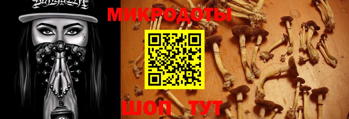 Галлюциногенные грибы Magic Shrooms Александров